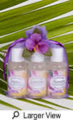 massage oil gift bag, sampler size, 
3 oils included from maui hawaii