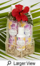 3 1/2 in. Tall Natural Sinamay Gift Basket